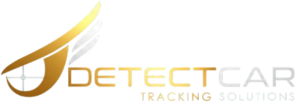 detectcar-e1769793583300